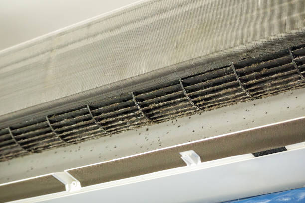 Best Affordable Air Duct Cleaning  in Weaverville, CA